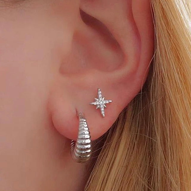 Star Dust Studs